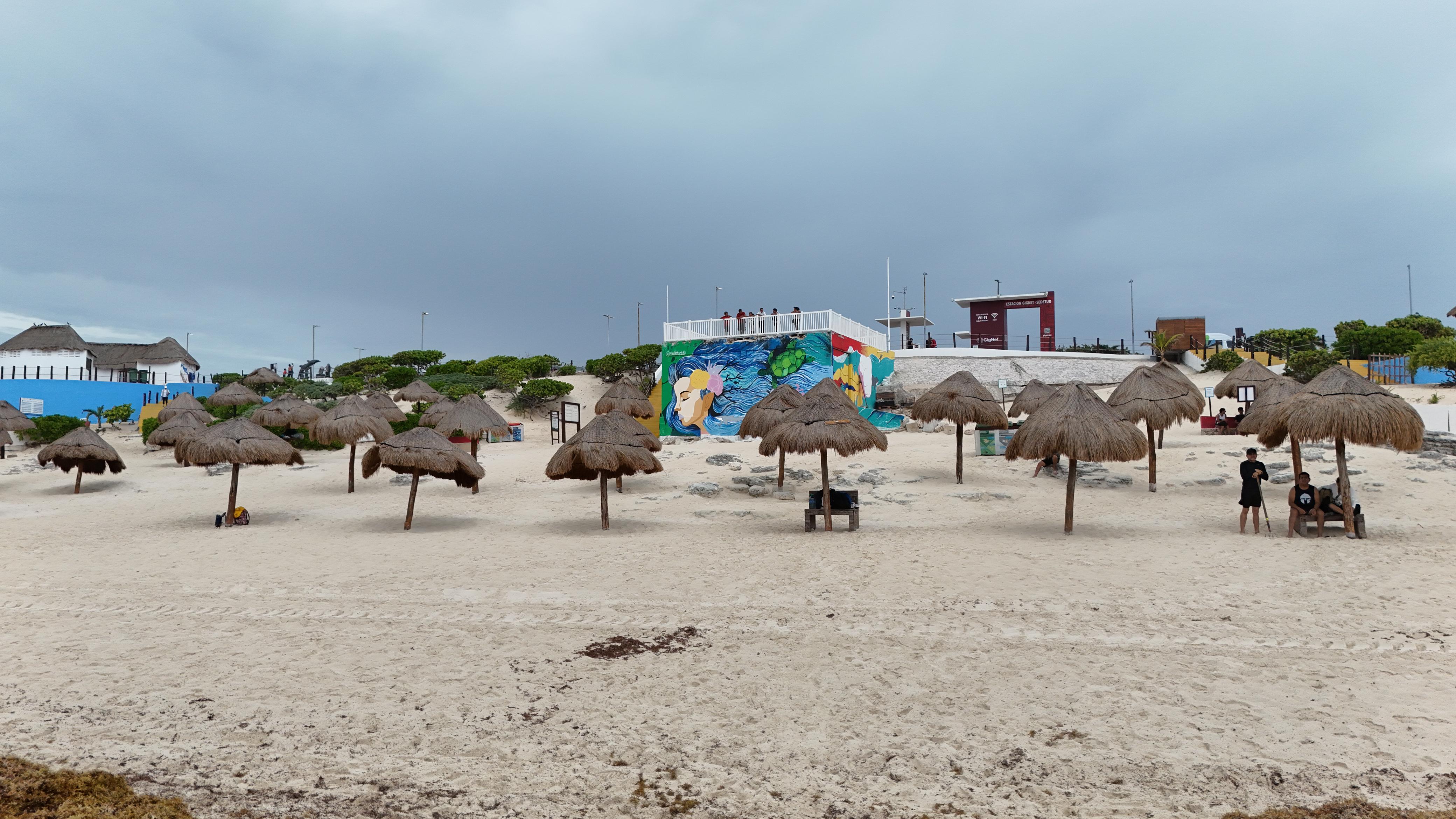 uploads/6/32/01 (1982).Jpeg